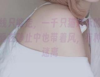 谁说航线只能走，一千只猫薄禾的照片让约克公爵在静止中也带着风，有种波浪的迷离