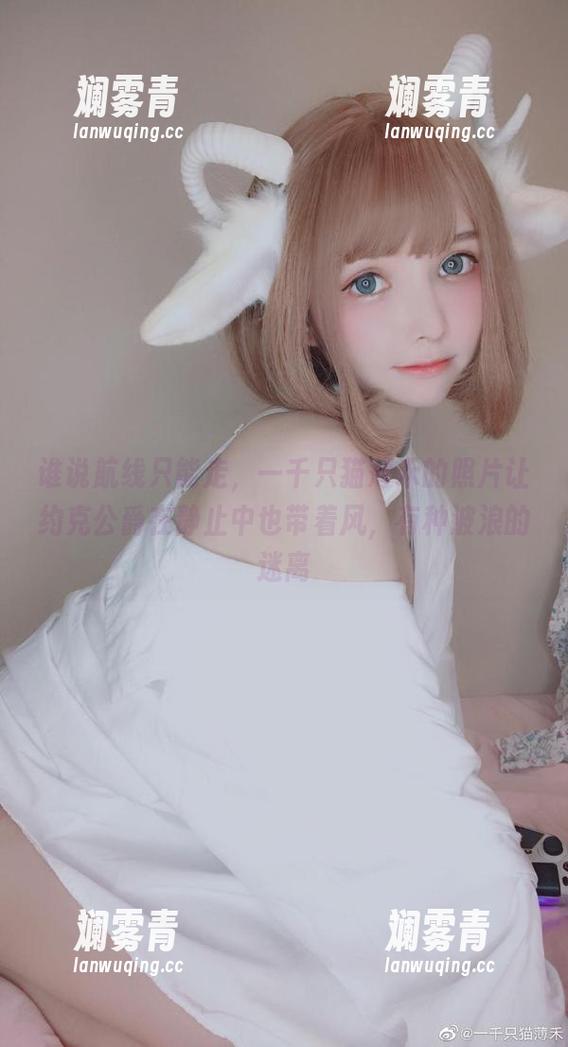 谁说航线只能走，一千只猫薄禾的照片让约克公爵在静止中也带着风，有种波浪的迷离